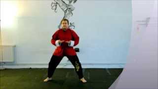 Gesundheitsschützendes Qigong [upl. by Other]