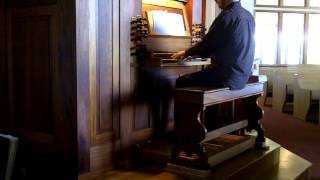 Adagio from Toccata Undecima by Georg Muffat  Paul Fritts Tracker Organ [upl. by Ecnadnac]