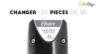 Changement levier oscillant tondeuse chien professionnelle oster Golden A5 [upl. by Prem31]