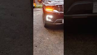 scorpionlover scorpion trendingshorts popular viralvideos shortsviral automobile [upl. by Neehsas]