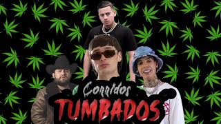 CORRIDOS TUMBADOS MIX 2023 [upl. by Lyford]