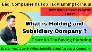 Holding Subsidiary and Associate Ka Game Samjho  Tax Bachao Asaan Tarike Se  Synopsis24 [upl. by Alika]