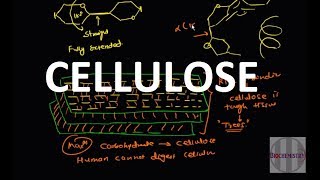 19 Cellulose Polysaccharide [upl. by Siduhey]