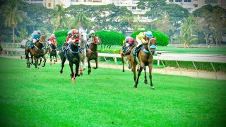 ROONG KAEW wins  12102024  Race 9  Country Bred Division 2 [upl. by Nnarefinnej]