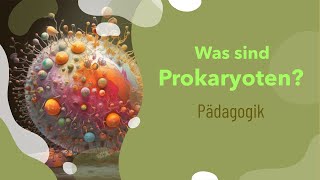 Was sind Prokaryoten  Aufbau  Beispiele  Zellwand  Größe  Mitochondrien  DNA  Funktion [upl. by Latsyrd]