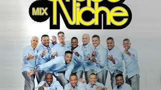 Grupo Niche  Mix Solo Exitos  Enamorada Eres Nuestro Sueño Cali Pachanguero Ana Mile [upl. by Nove]