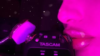 Want to stay Tingle Immune don’t WATCH THIS VIDEO  ASMR  AMAZING TASCAM SOUNDS [upl. by Egedan]