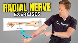 4 Exercises for Radial Nerve Pain [upl. by Sedgewake]