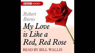 A Dozen Red Roses Audiobook by Robert Burns [upl. by Benjy]