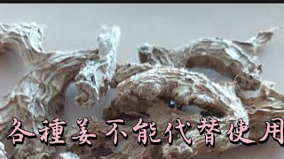 D234 乾薑不能代替生姜，各種姜的功效區別簡單說清楚 [upl. by Tallbott]