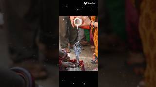 nag panchami  nag panchami song  nagpanchami shorts viralvideo [upl. by Ecinhoj]