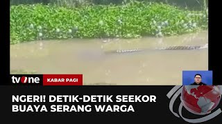 Pria Sedang Mancing Ikan di Sungai Diterkam Buaya  Kabar Pagi tvOne [upl. by Htevi529]