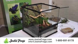 Dart Frog Vivarium Set Up  Start to Finish [upl. by Yasnyl]