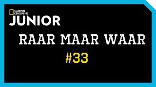 Raar maar Waar 33  De cheeta [upl. by Dov280]