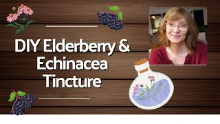 DIY Elderberry and Echinacea Tincure for cold and Flu season [upl. by Aihtenyc]