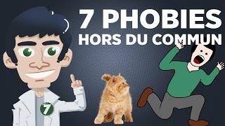 7 Phobies Hors du Commun [upl. by Citarella]