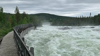 Storforsen Sveriges största fors  Norrbotten Sweden [upl. by Onahpets419]