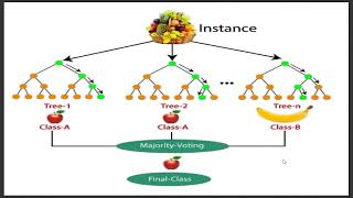 Random Forest Algorithm Explanation in Tamil  Machine Learning Algorithm Explanation [upl. by Ueih]