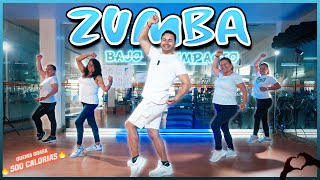 ZUMBA sin Saltos para Principiantes  Beginner routine  No Jumping [upl. by Rodgers316]