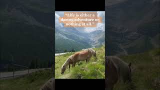 graubunden berninaexpress bernina berninaexpresstour🇨🇭 swiss switzerland journeyoflife [upl. by Eon]