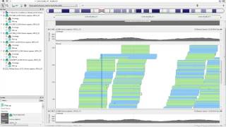 Exploring DNARNASeq Analysis Results with Golden Helix GenomeBrowse and SVS [upl. by Lorilyn310]