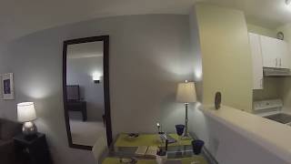 Streeterville Chicago Apartments  Lake Shore Plaza  1 Bedroom  GoPro Tour [upl. by Iene]