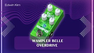 🎸 Wampler Belle Overdrive  Sound Only [upl. by Lahey]