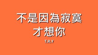 TRY  不是因為寂寞才想你【歌詞】 [upl. by Searby]