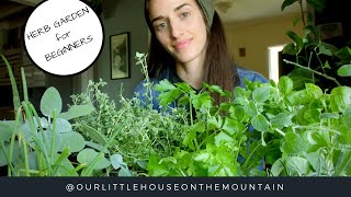 HERB GARDENS BEGINNERS GUIDE  HOW TO  GARDEN BASICS [upl. by Ainaznat618]