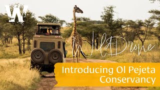 WildDrones First Kenya Trip Introducing Ol Pejeta Conservancy [upl. by Coward]