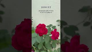 हमसफ़र वो  Love poem  Couplet [upl. by Arline258]