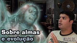 Sobre almas e evolução [upl. by Iggy956]