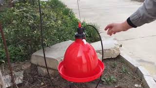 How to use the poultry automatic bell drinker [upl. by Mikey]