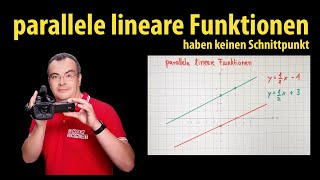 parallele lineare Funktionen haben keinen Schnittpunkt  Lehrerschmidt [upl. by Sabella87]