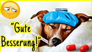 Süße Krankengrüße 🤒 GUTE BESSERUNG mit Herz amp Humor 🐶 [upl. by Venetis]