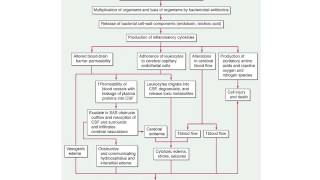 CNS Infections [upl. by Ikeda]