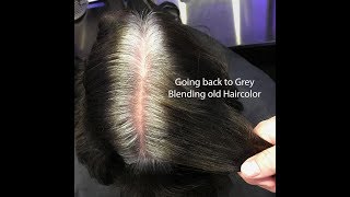 Hairdressers Guide To Cutting Your Own Hair And Not Ruining It [upl. by Arahsit]