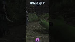 Endwalker 🐸  finalfantaxyxiv ffxivbrasil ffxivonline ffxiv [upl. by Sirehc]