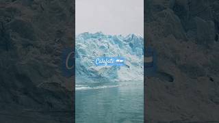 Calafate Argentina 2024 [upl. by Nive]