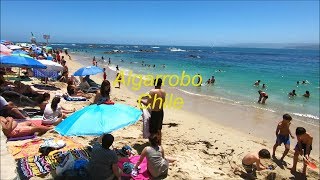 Algarrobo beach and City in Chile [upl. by Ahsirtap]