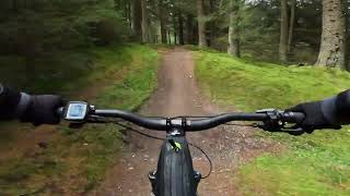 Glentress Spooky Wood red grade trail [upl. by Hashimoto]