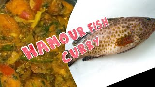 HAMOUR FISH RECIPE  HAMOUR FISH CURRY  HAMOUR FISH amp CHICKEN CURRY RECIPE FOR DINNER  হামৌর মাছ [upl. by Zingale]