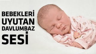 Davlumbaz Sesi  Bebekler İçin Uyku Desteği [upl. by Hewett406]