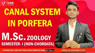 CANAL SYSTEM IN PORFERA  PORIFERA  ZOOLOGY  NON CHORDATA  MSc1st YEAR  Prahalad Sir [upl. by Nnaj]