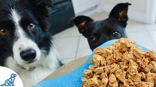 The Best Homemade Dog Training Treats [upl. by Raimund944]