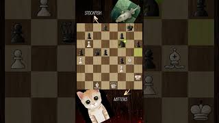 Mittens vs Stockfish stockfish chess chessgame [upl. by Dotty]