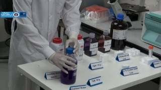 How to prepare Ashdown agar selective media for Burkholderia pseudomallei [upl. by Karlens177]