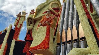 Bloemencorso Lichtenvoorde legt in 2018 lat weer hoger [upl. by Assil581]