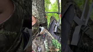 Crossbow Hunting with Ravin R29X  Passed Up Small 4 Pointer Buck  Wisconsin Whitetail Deer [upl. by Nyltac]