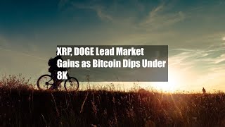 XRP DOGE Lead Market Gains as Bitcoin Dips Under 58K [upl. by Ycrep336]